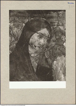 Vorderseite von bh118204_recto