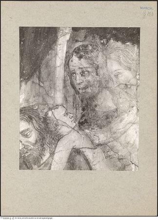 Vorderseite von bh118206_recto