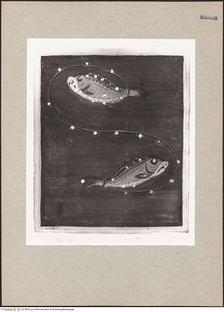 Vorderseite von bh118367_recto