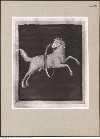 Vorderseite von bh118368_recto