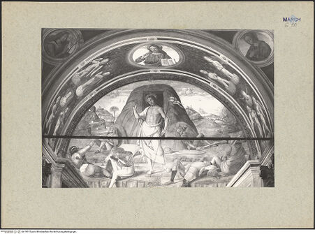 Vorderseite von bh118372_recto