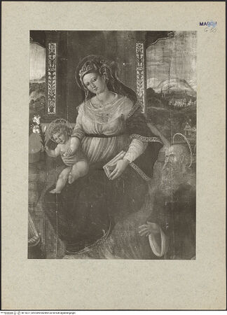 Vorderseite von bh118377_recto