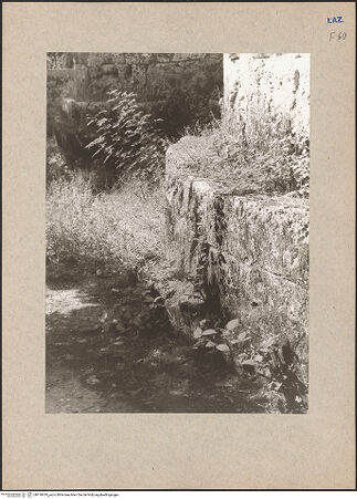 Vorderseite von bh118410_recto