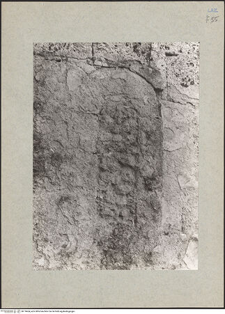 Vorderseite von bh118424_recto