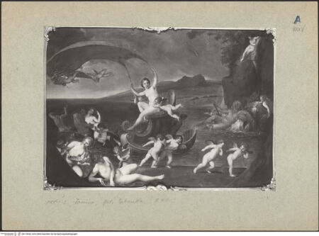 Vorderseite von bh118433_recto