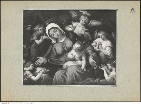 Vorderseite von bh118436_recto