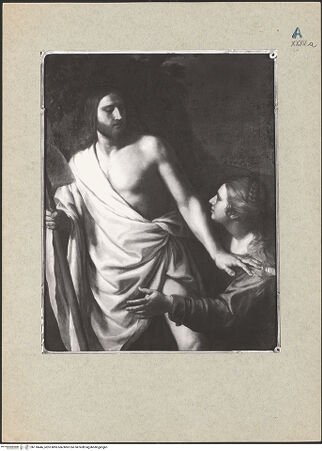 Vorderseite von bh118446_recto