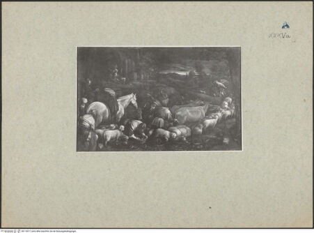 Vorderseite von bh118477_recto