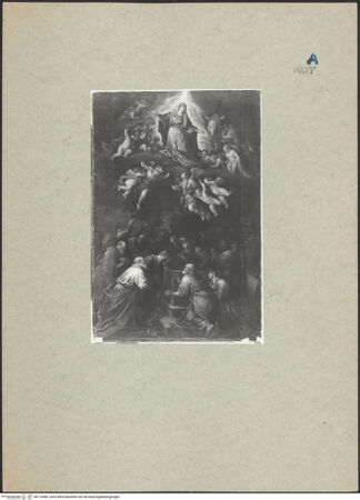 Vorderseite von bh118483_recto