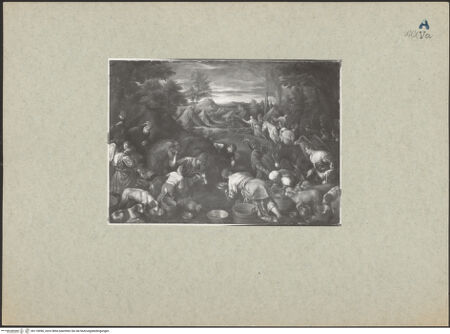 Vorderseite von bh118496_recto