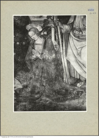 Vorderseite von ICCD [https://www.deutsche-digitale-bibliothek.de/content/lizenzen/rv-ez/] Ausmalung der Cappella BaglioniAnbetung der Hirten - Detail: Maria, bh118518_recto. Foto.