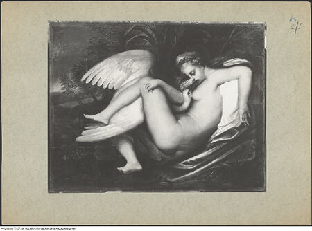 Vorderseite von bh118523_recto