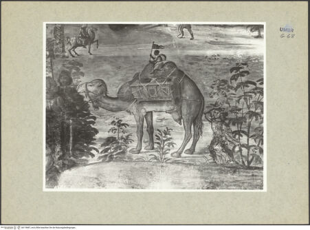 Vorderseite von ICCD [https://www.deutsche-digitale-bibliothek.de/content/lizenzen/rv-ez/] Ausmalung der Cappella BaglioniAnbetung der Hirten - Detail: Kamel, bh118687_recto. Foto.