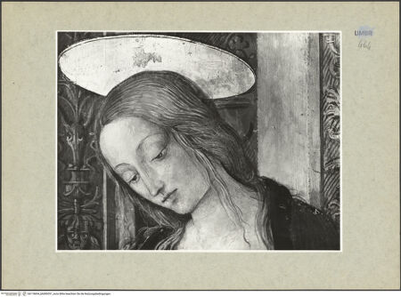 Vorderseite von bh118694_bh009297_recto