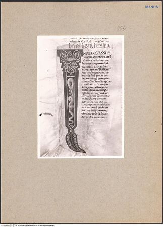 Vorderseite von bh118782_recto