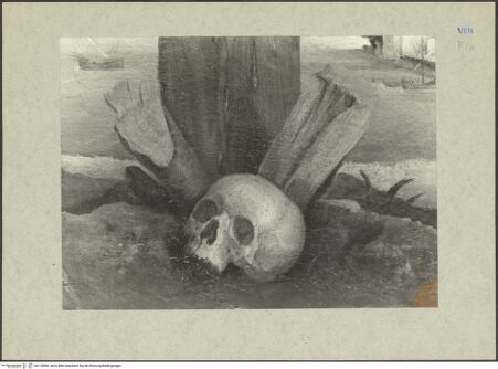 Vorderseite von bh118896_recto