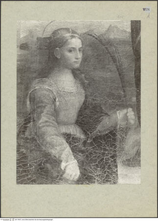 Vorderseite von bh118937_recto