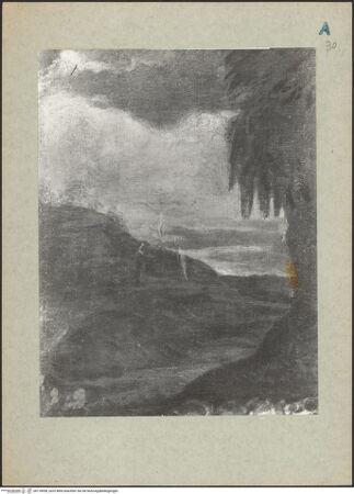 Vorderseite von bh118938_recto