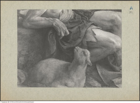 Vorderseite von bh118943_recto