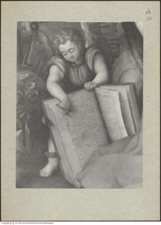 Vorderseite von bh118946_recto