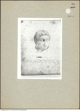 Vorderseite von bh119377_recto