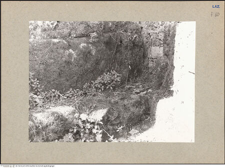 Vorderseite von bh119410_recto