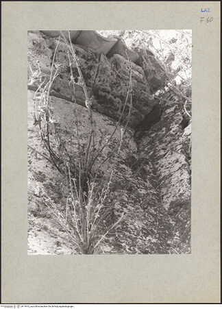 Vorderseite von bh119412_recto