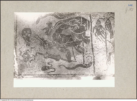 Vorderseite von bh119467_recto