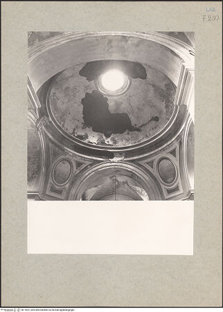 Vorderseite von bh119491_recto