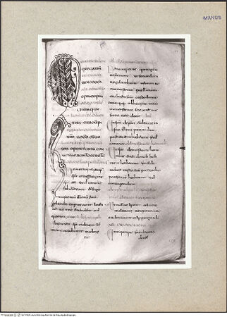 Vorderseite von bh119509_recto