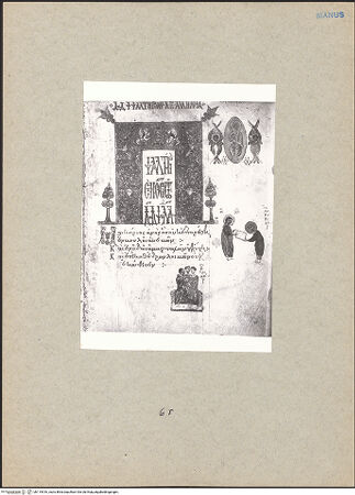 Vorderseite von bh119516_recto