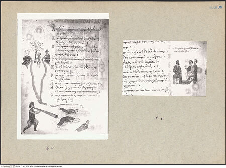 Vorderseite von bh119517_bh119518_recto