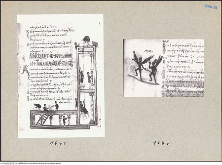 Vorderseite von bh119615_bh119616_recto