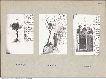 Vorderseite von bh119750_bh119751_bh119752_recto