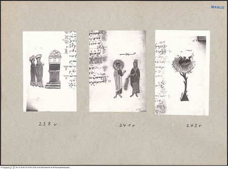 Vorderseite von bh119778_bh119779_bh119780_recto