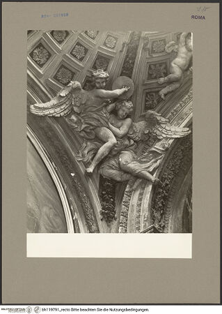 Vorderseite von bh119791_recto