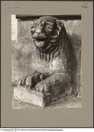 Vorderseite von bh119792_recto