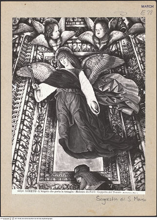 Vorderseite von bh119948_recto