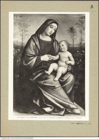 Vorderseite von bh119965_recto