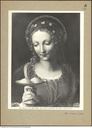 Vorderseite von bh119968_recto