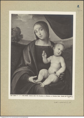 Vorderseite von bh119972_recto