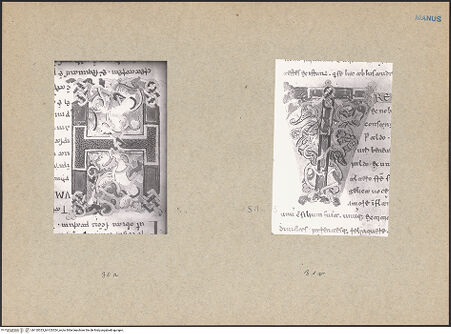 Vorderseite von bh120323_bh120324_recto