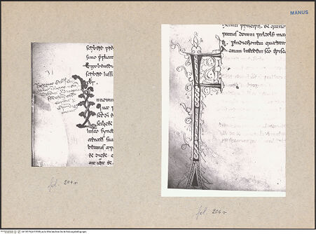 Vorderseite von bh120379_bh120380_recto