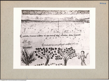 Vorderseite von bh120436_recto