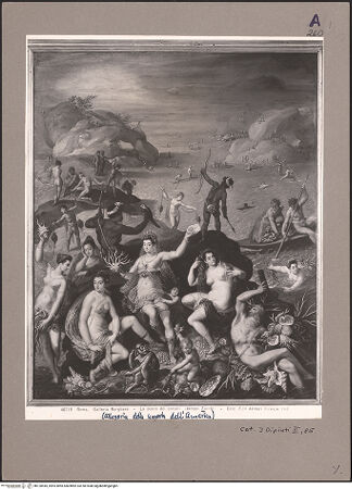 Vorderseite von bh120445_recto