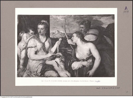 Vorderseite von bh120467_recto