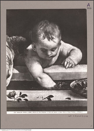 Vorderseite von bh120469_recto