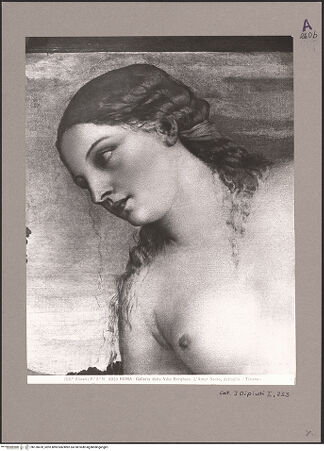 Vorderseite von bh120470_recto