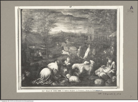 Vorderseite von bh120476_recto