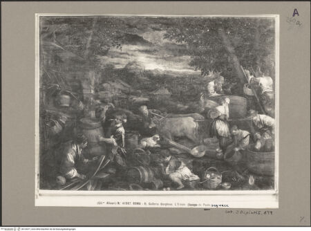 Vorderseite von bh120477_recto